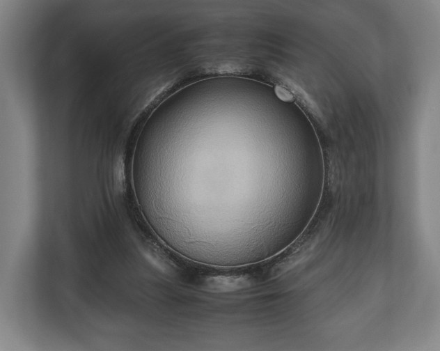 X0000110970251200906261415