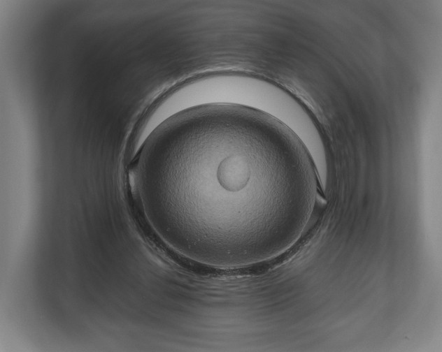 X0000110970252200906261415