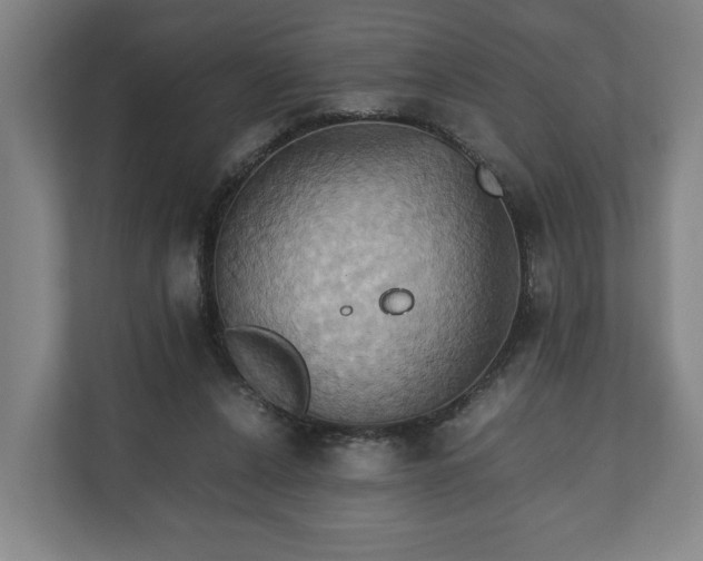 X0000110970256200906261415