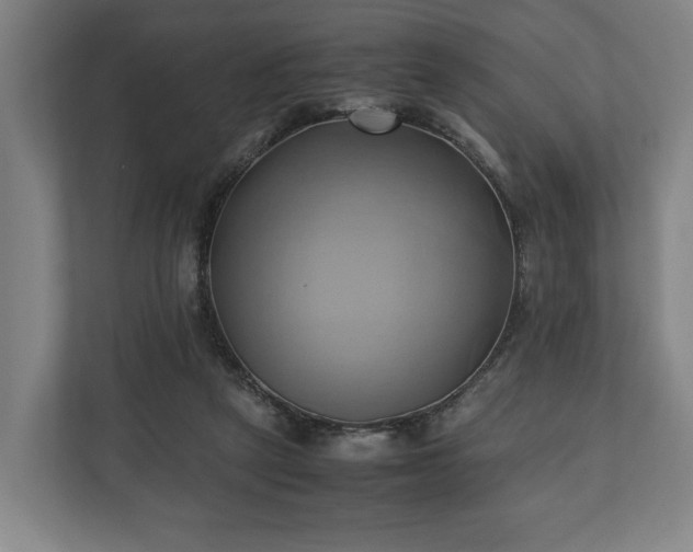 X0000110970257200906261415