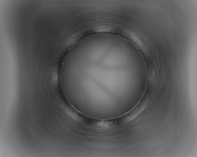 X0000110970261200906261415