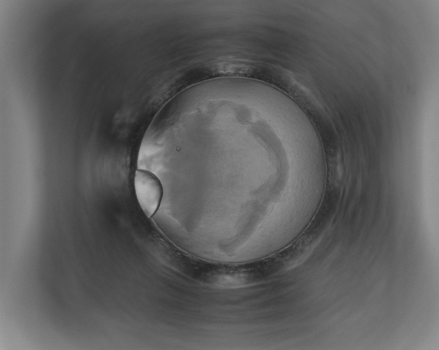 X0000110970263200906261415