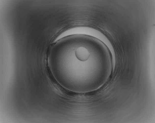 X0000110970264200906261415