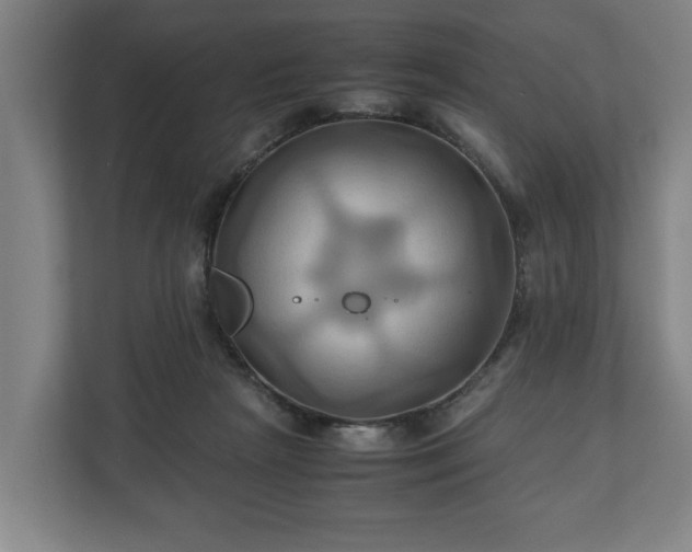 X0000110970265200906261415