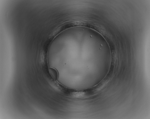 X0000110970266200906261415