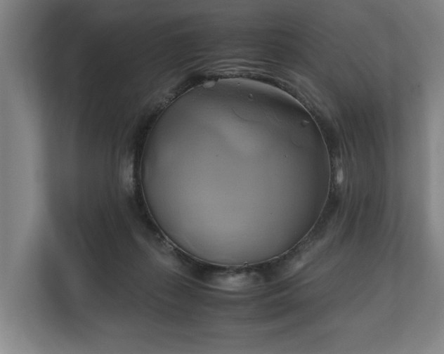 X0000110970267200906261415