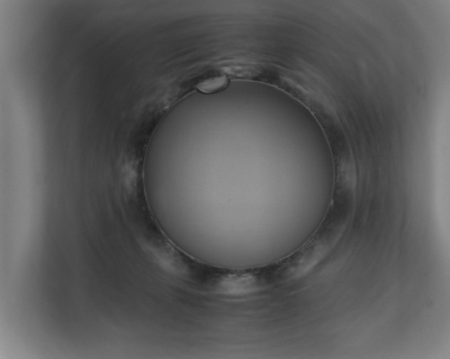 X0000110970271200906261415