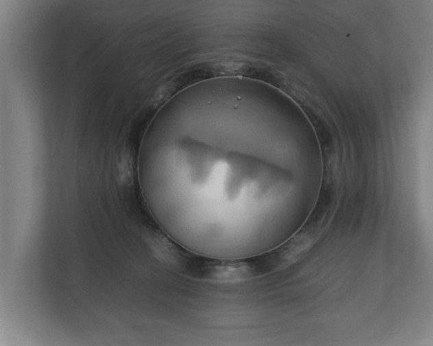 X0000110970274200906261415