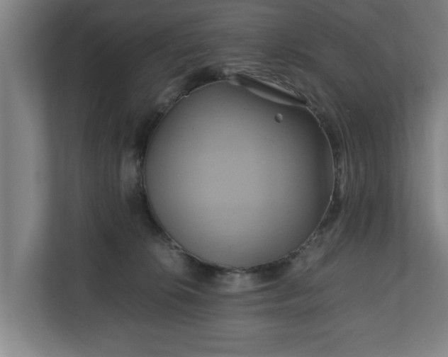 X0000110970276200906261415