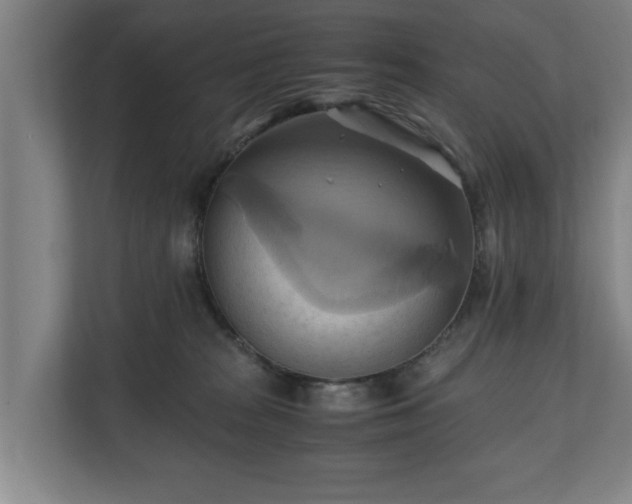 X0000110970277200906261415