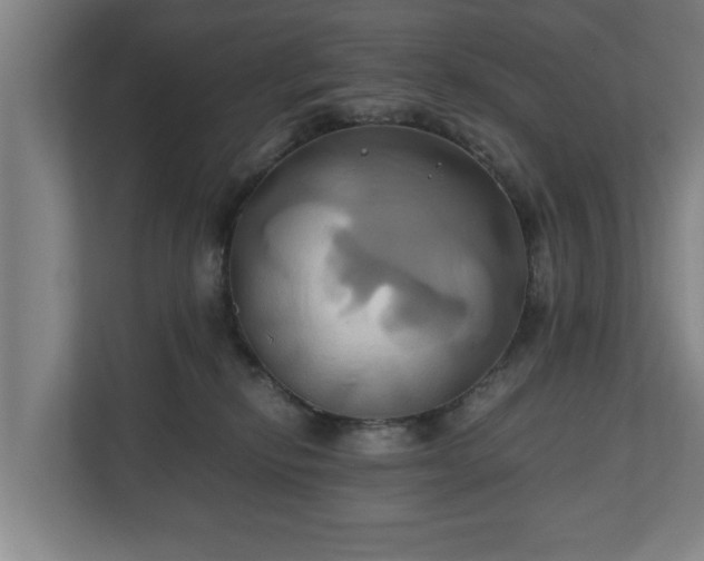 X0000110970278200906261415