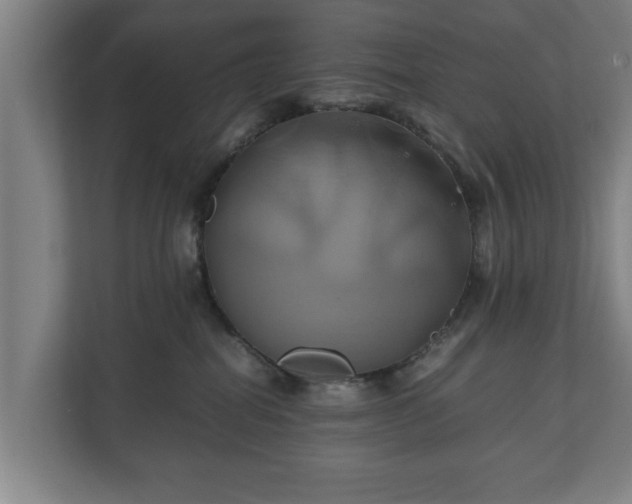 X0000110970282200906261415