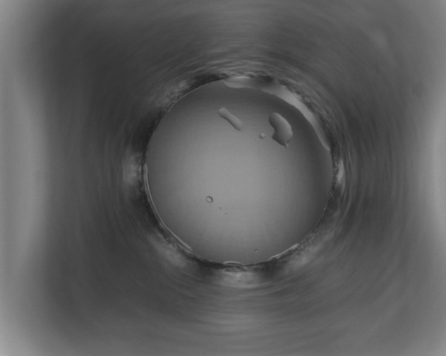 X0000110970284200906261415