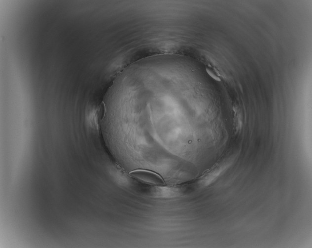 X0000110970286200906261415