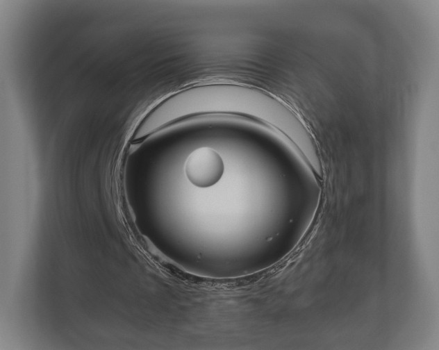 X0000110970289200906261414