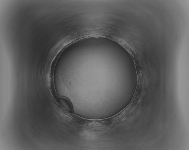 X0000110970290200906261414