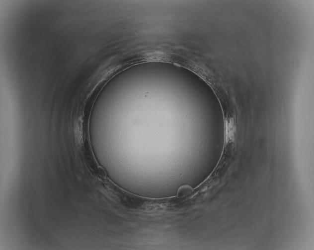 X0000110970291200906261414