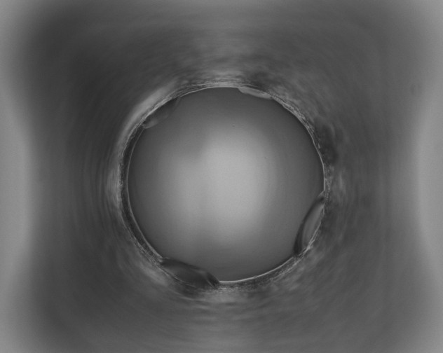 X0000110970293200906261414