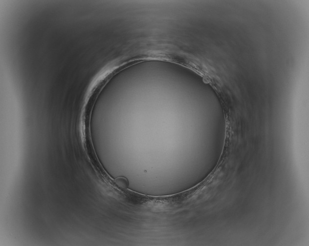 X0000110970294200906261414