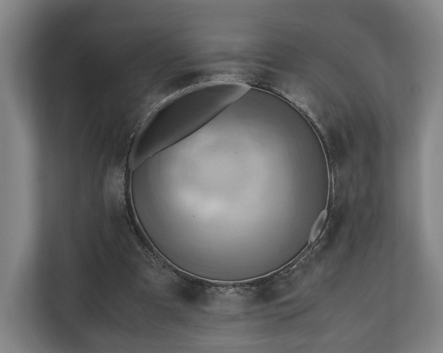 X0000110970297200906261414