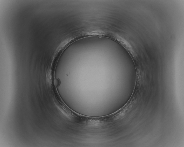 X0000110970298200906261414