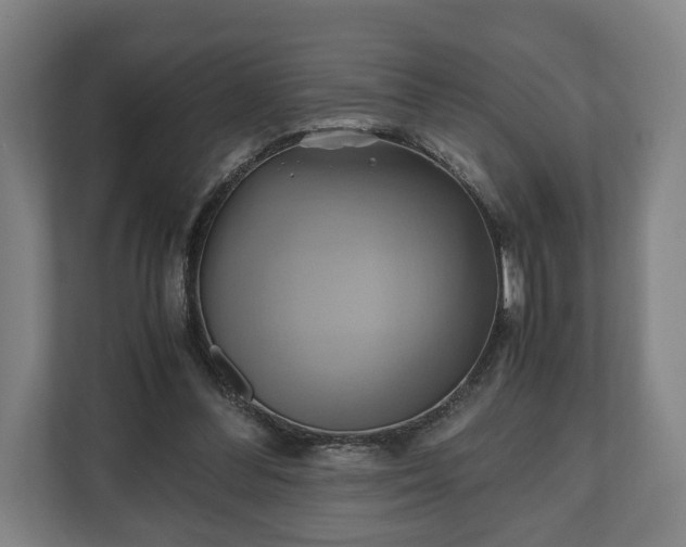 X0000110970300200906261414