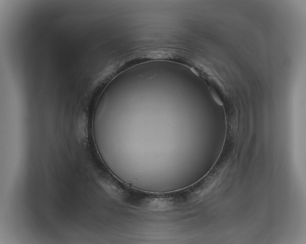 X0000110970303200906261414