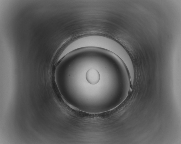 X0000110970304200906261414