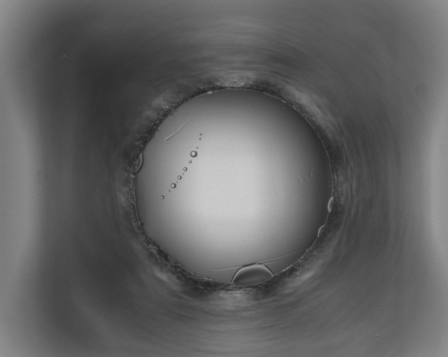 X0000110970307200906261414