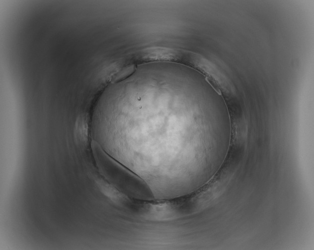 X0000110970309200906261414