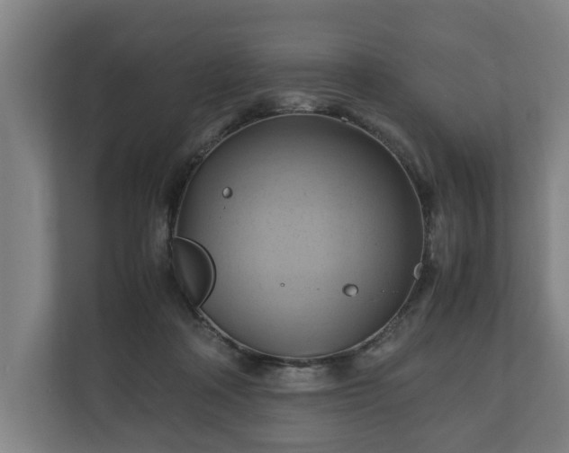 X0000110970314200906261414