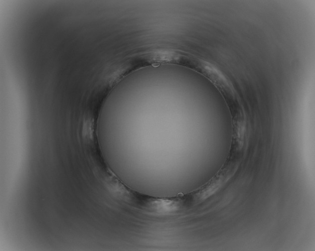 X0000110970326200906261414