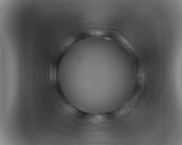 X0000110970330200906261414