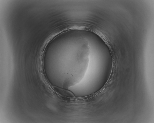 X0000110970337200906261413