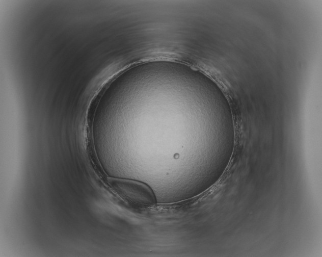 X0000110970338200906261413