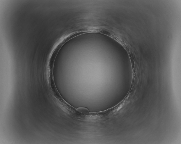 X0000110970342200906261413