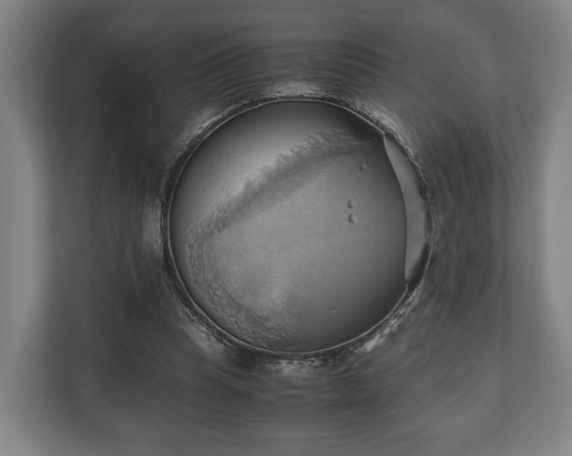 X0000110970345200906261413