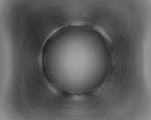 X0000110970346200906261413