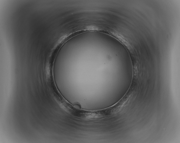 X0000110970347200906261413