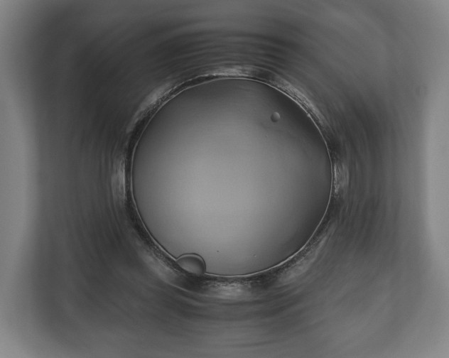 X0000110970349200906261413