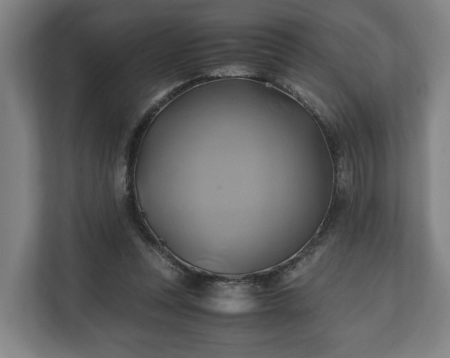 X0000110970351200906261413