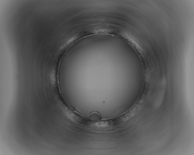 X0000110970353200906261413