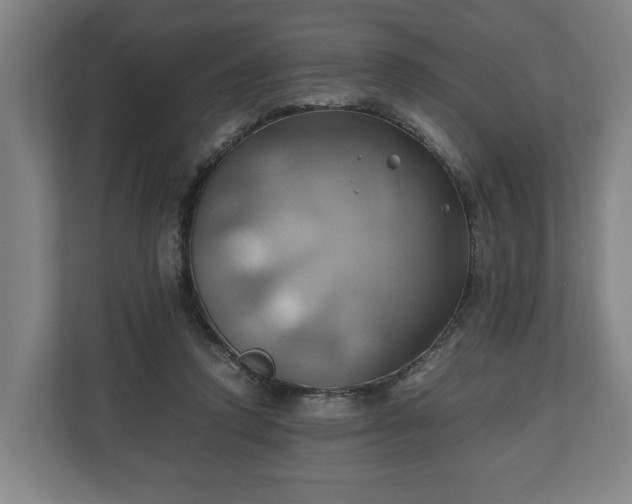 X0000110970354200906261413