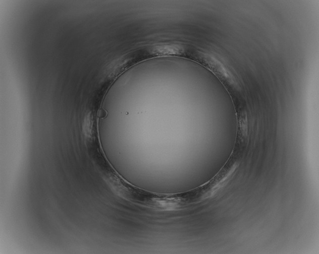 X0000110970359200906261414