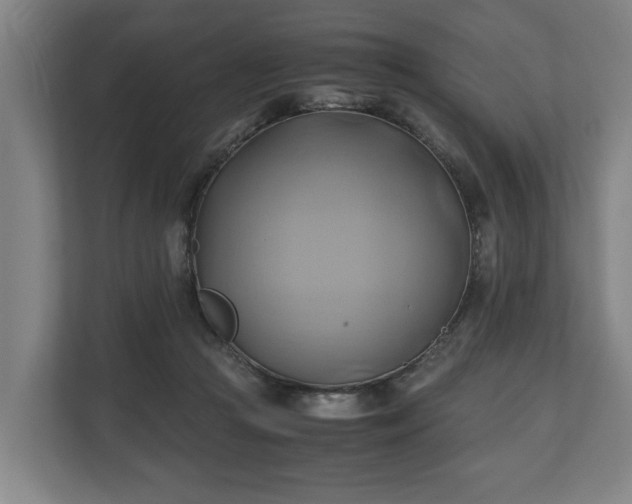 X0000110970361200906261414