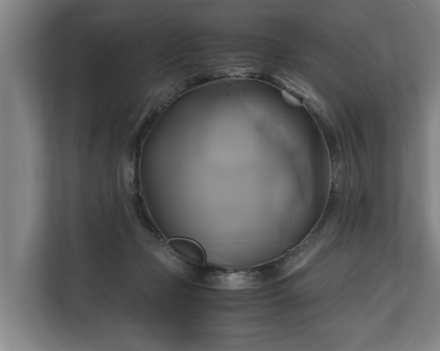 X0000110970365200906261414