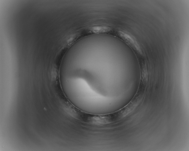 X0000110970367200906261414