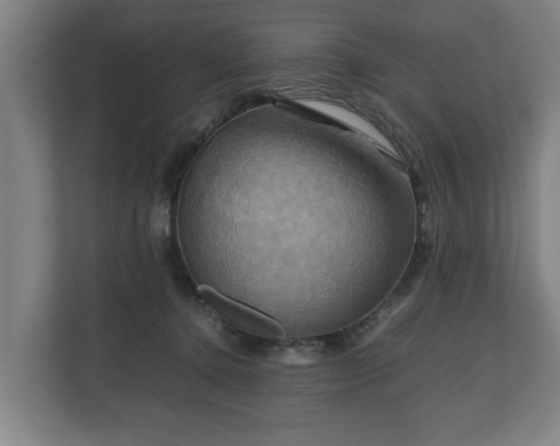 X0000110970368200906261414