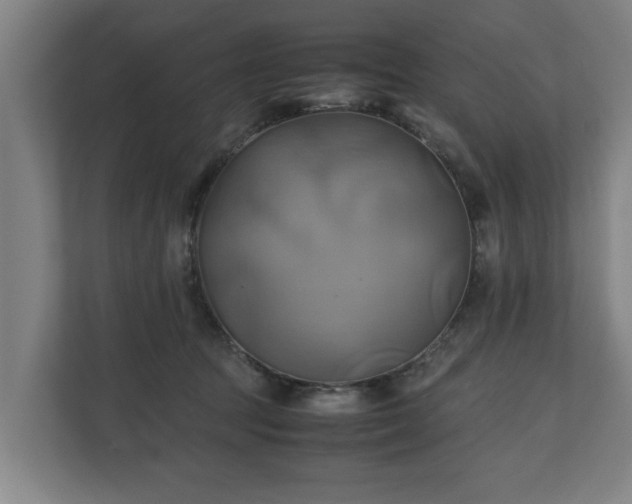 X0000110970369200906261414