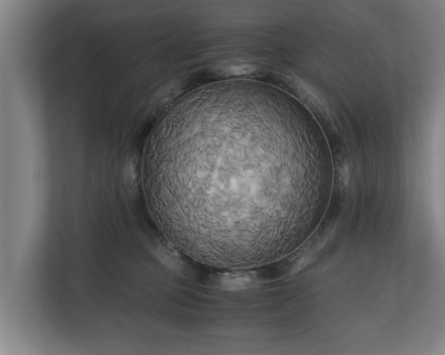 X0000110970373200906261414